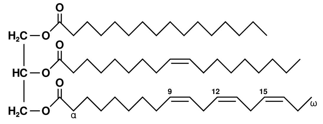 Structure of a triacylglycerol